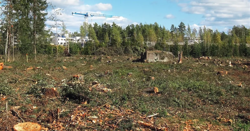 La préparation du chantier : les points singuliers qui font la différence