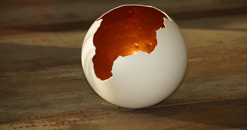 Les alternatives ultra-économiques qui trompent l'œil : DIY et impression photo