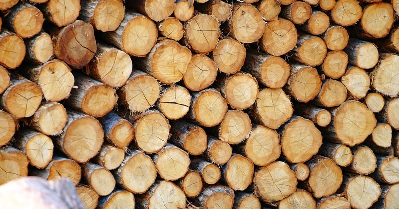 Comment entretenir un plan de travail en bois massif durablement